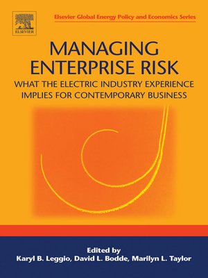 cover image of Managing Enterprise Risk